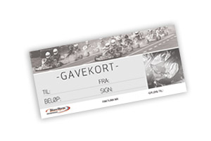 Gavekort Karting