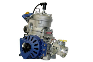 IAME Parilla Reedster (KF)